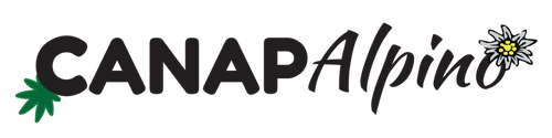 Canapalpino